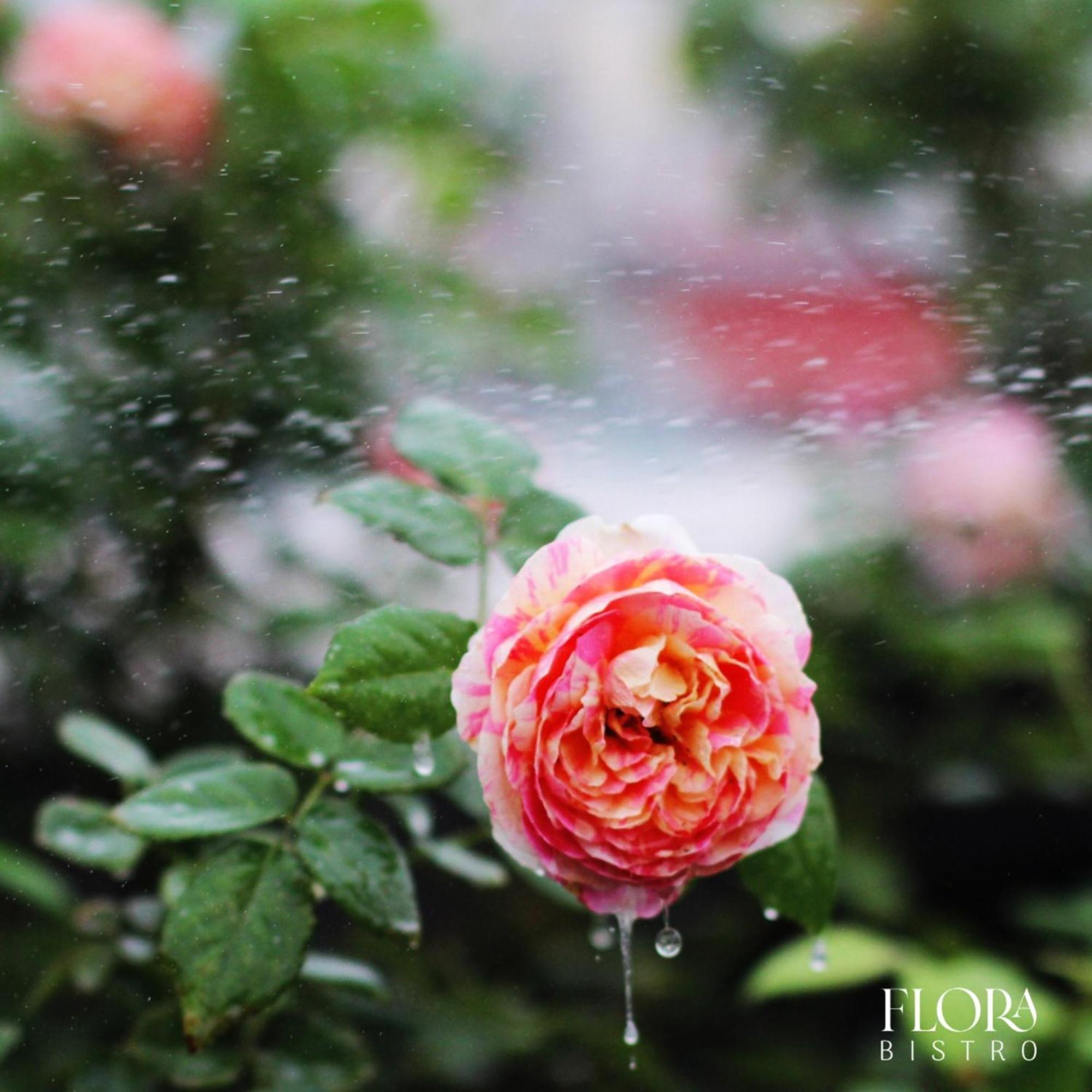 The Bloom Pham Viet Chanh - Modern Living Space In Saigon Ho-Chi-Minh-Stadt Exterior foto